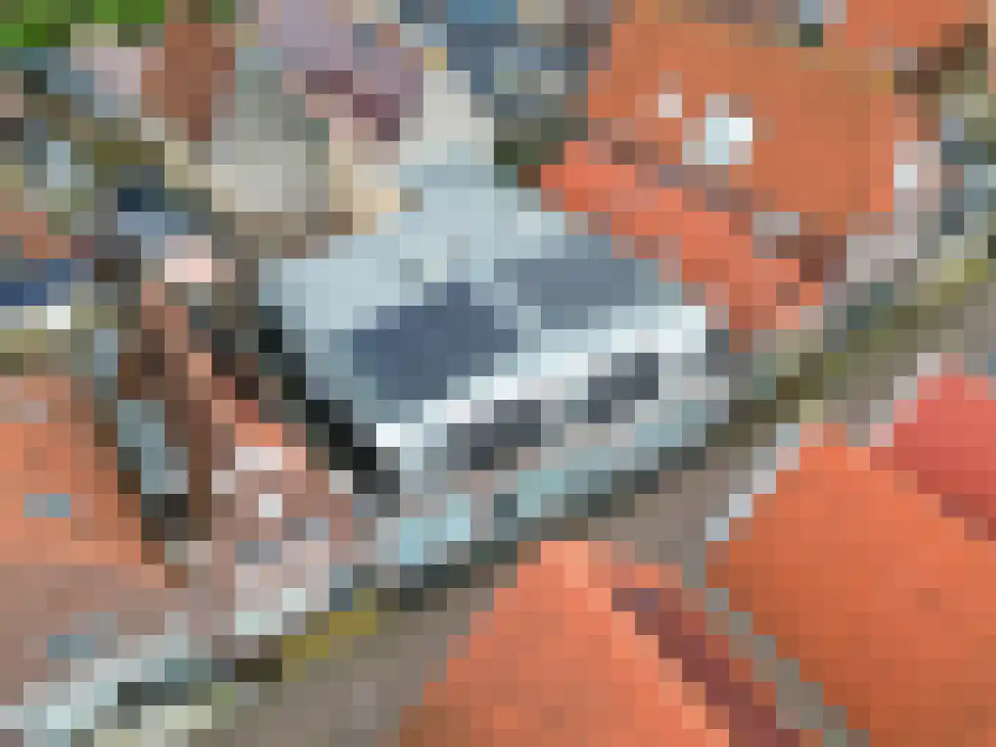 Grote Kerkstraat 31 Harlingen thumbnail 7