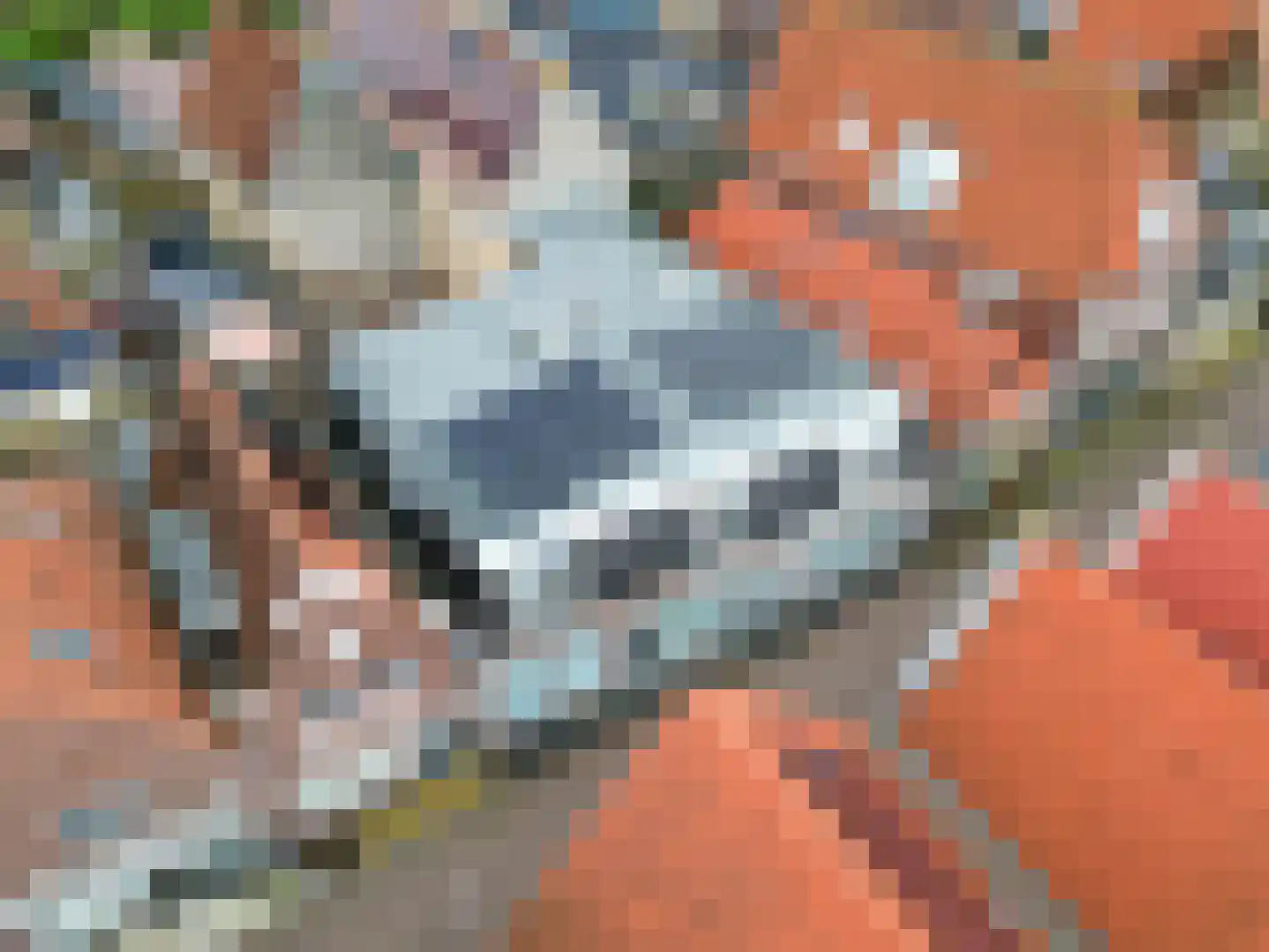 Grote Kerkstraat 31 Harlingen thumbnail 7