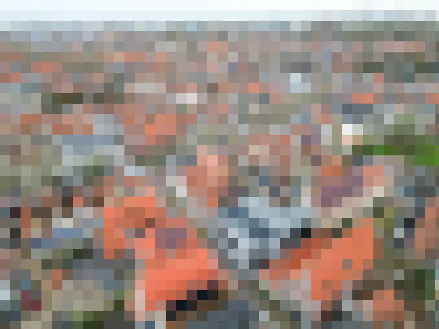 Grote Kerkstraat 31 Harlingen thumbnail 81