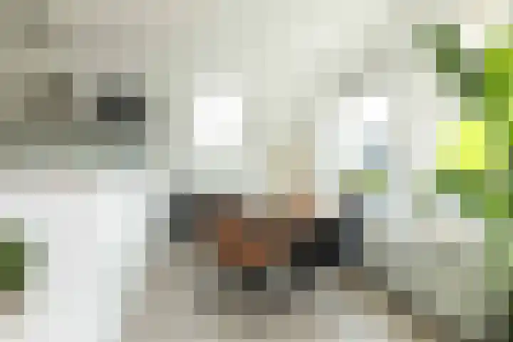 Grote Kerkstraat 31 Hoogeveen thumbnail 12