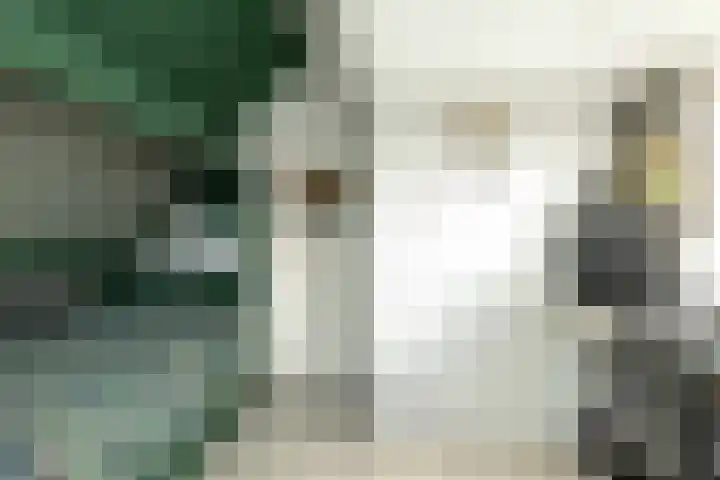 Grote Kerkstraat 31 Hoogeveen thumbnail 30