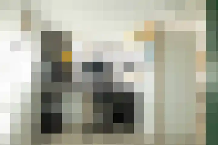 Grote Kerkstraat 31 Hoogeveen thumbnail 31