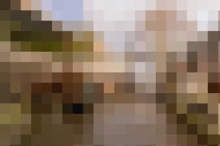 Grote Kerkstraat 31 Hoogeveen thumbnail 38