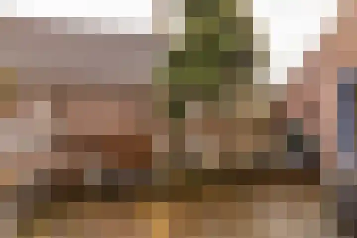Grote Kerkstraat 31 Hoogeveen thumbnail 42