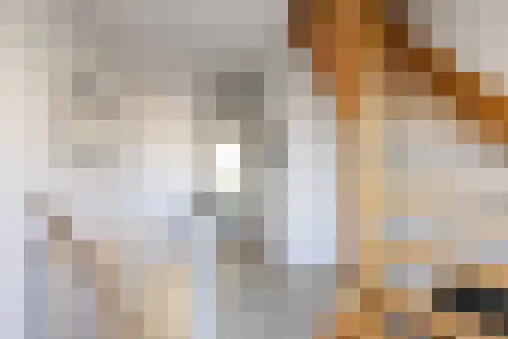 Grote Kerkstraat 31 Hoogeveen thumbnail 8