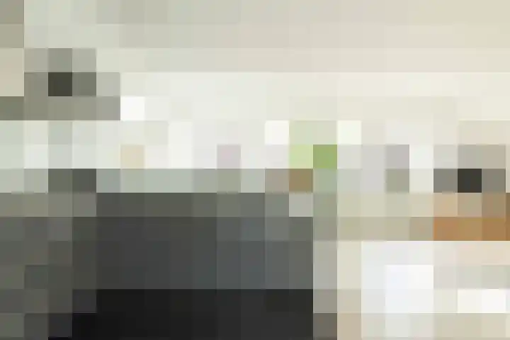 Grote Kerkstraat 31 Hoogeveen thumbnail 9