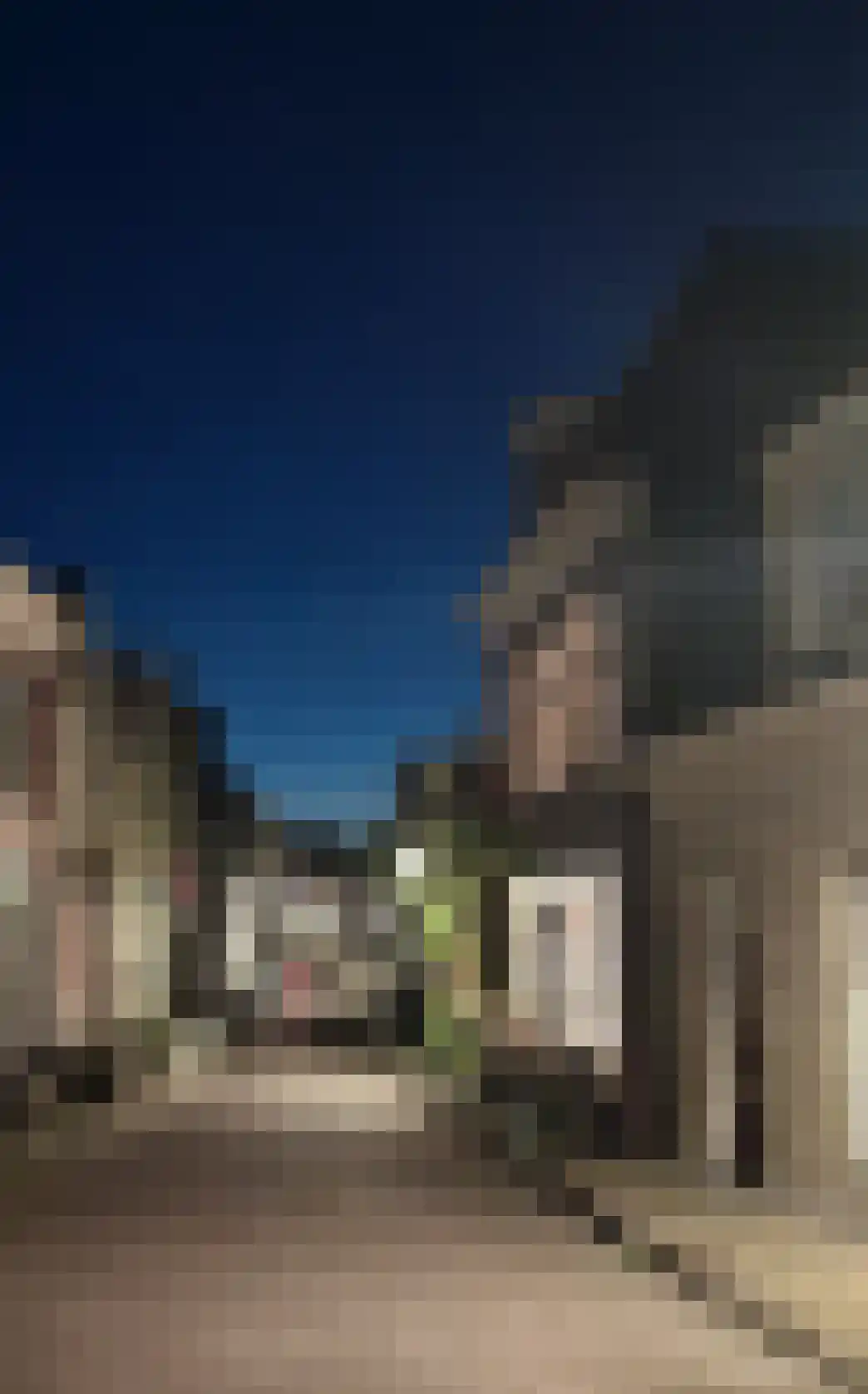 Grote Kerkstraat 35 Harlingen thumbnail 29