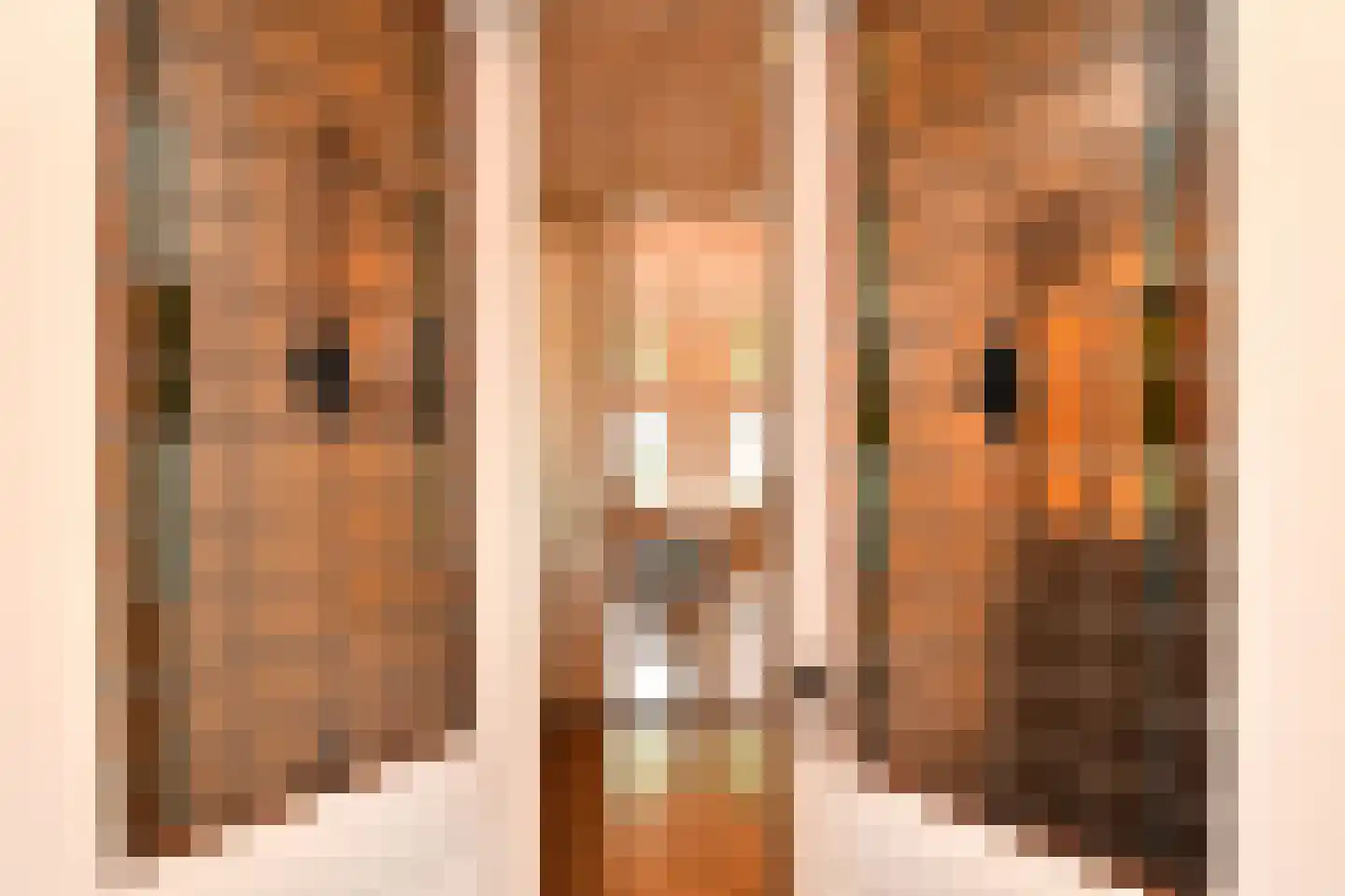 Grote Kerkstraat 37 Steenbergen thumbnail 12