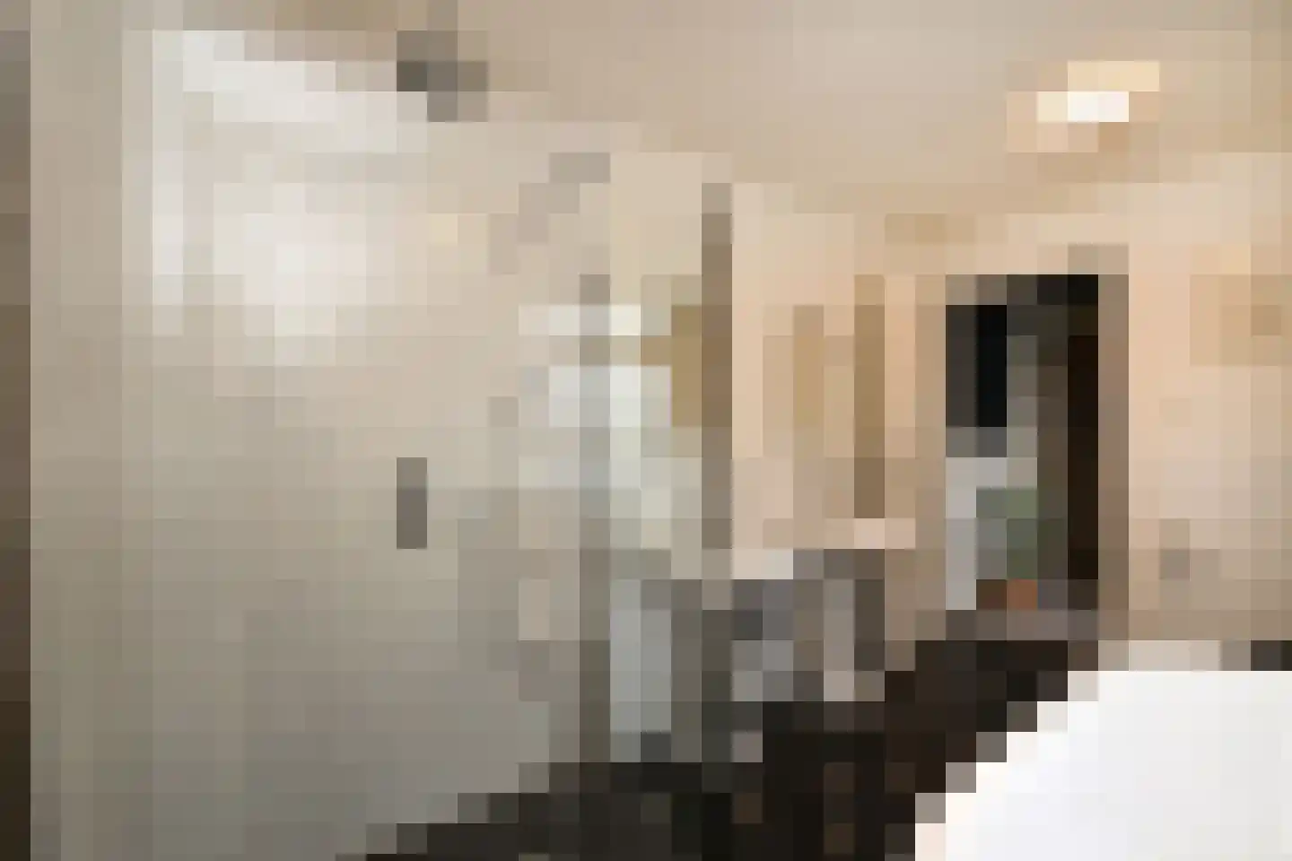 Grote Kerkstraat 37 Steenbergen thumbnail 18