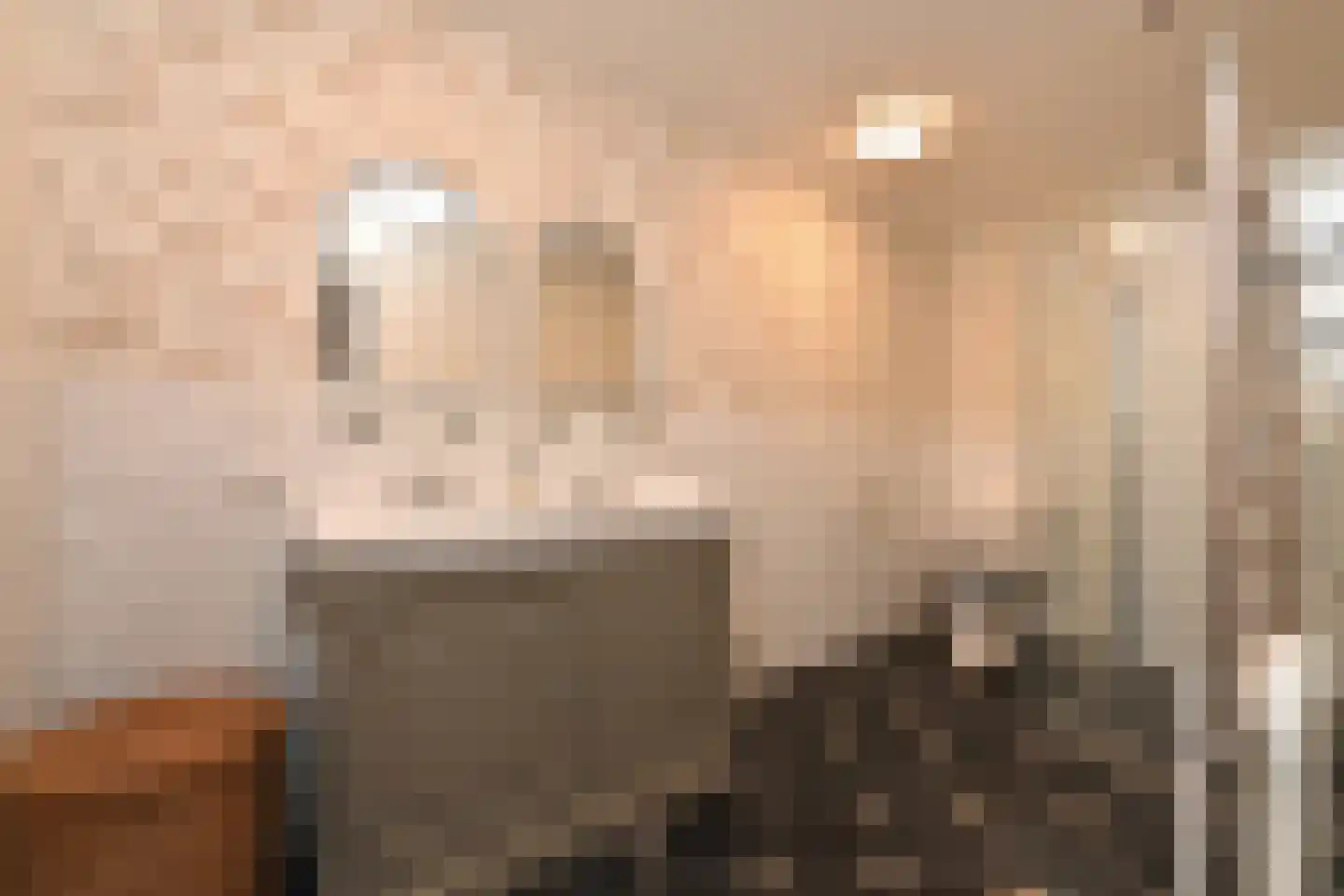 Grote Kerkstraat 37 Steenbergen thumbnail 21