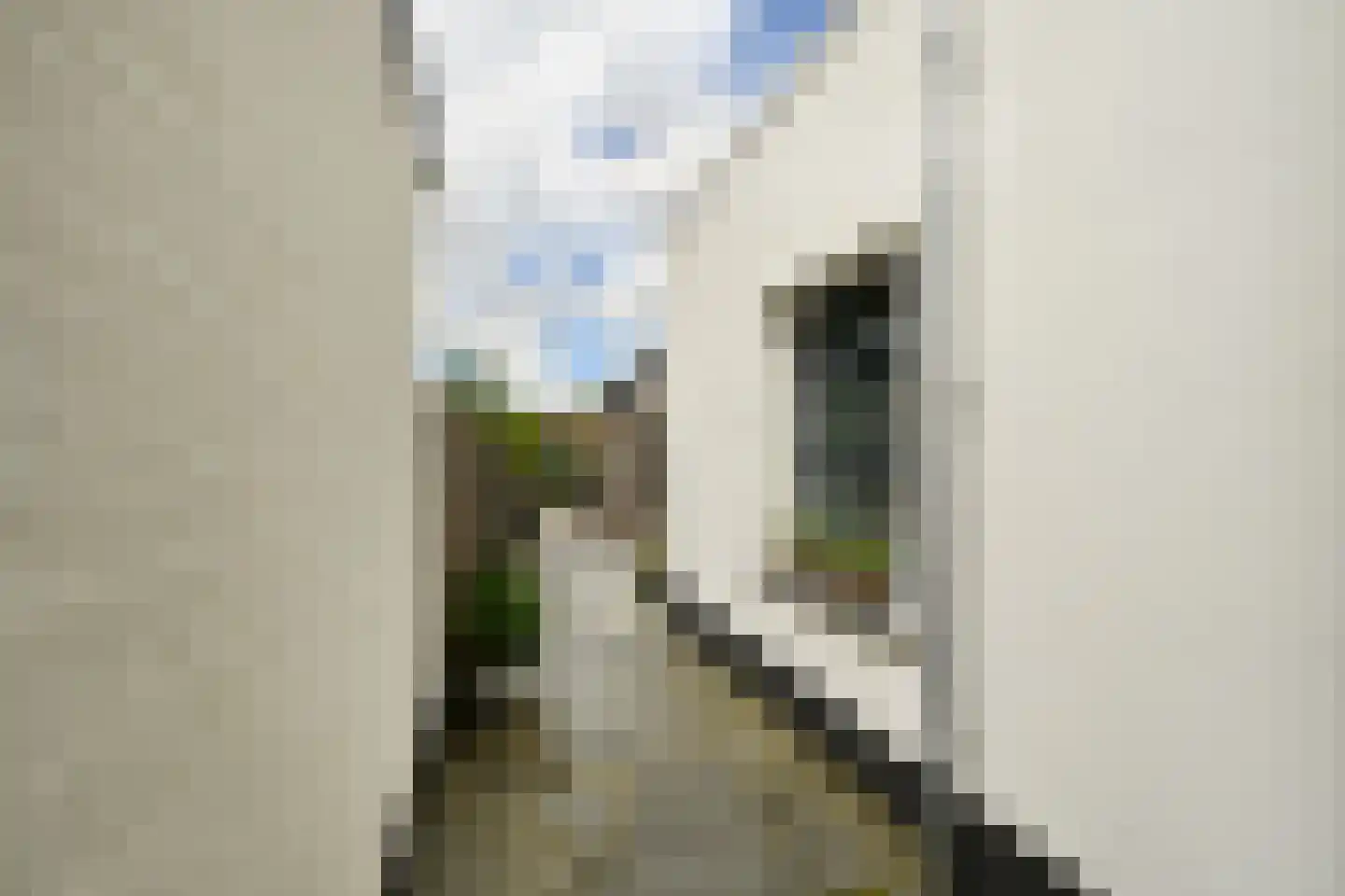 Grote Kerkstraat 37 Steenbergen thumbnail 34