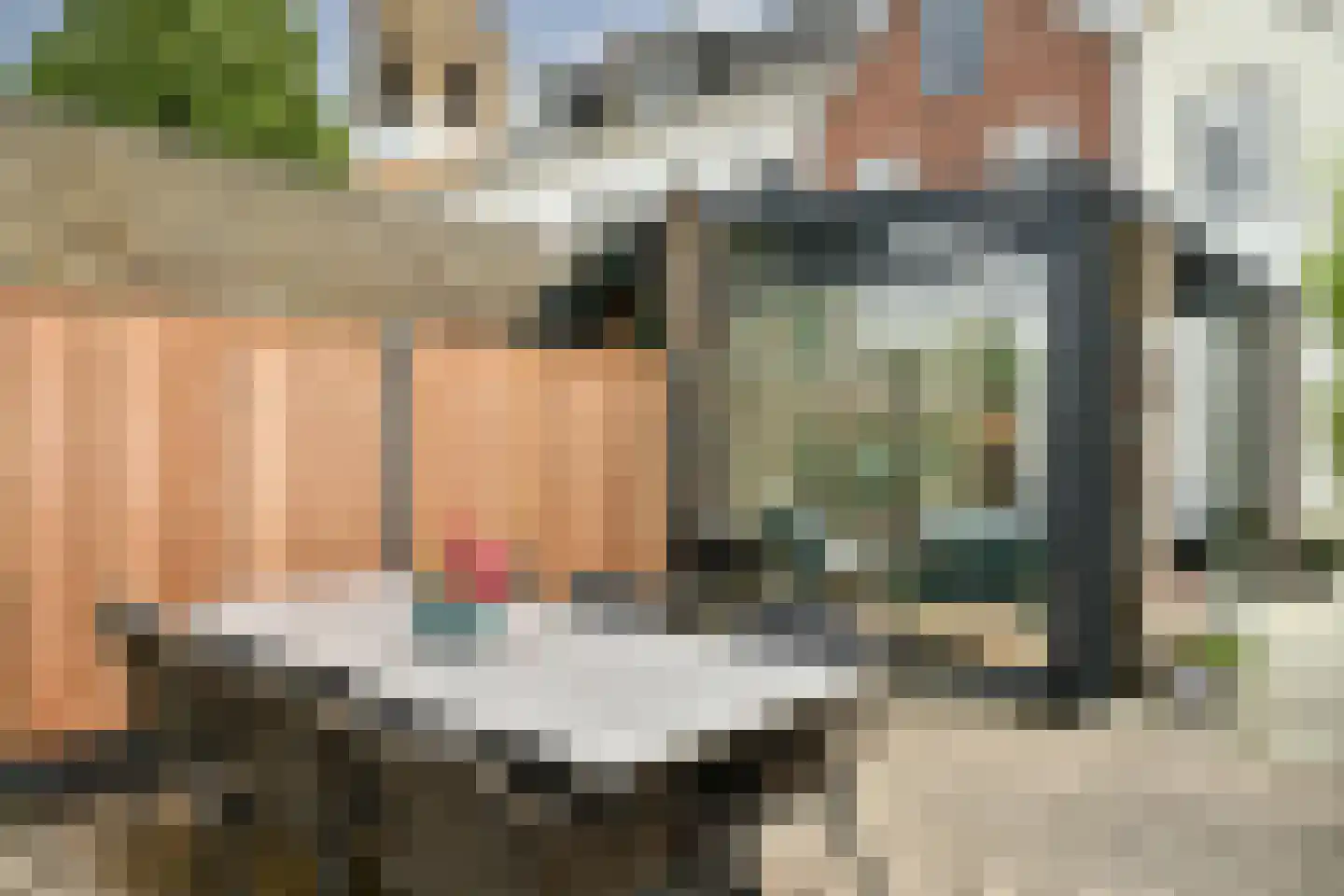Grote Kerkstraat 37 Steenbergen thumbnail 36