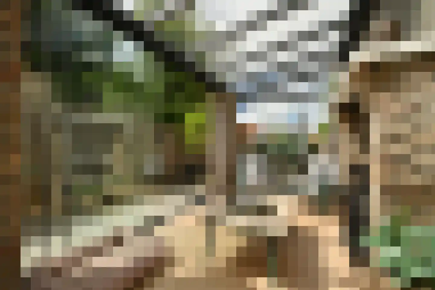 Grote Kerkstraat 37 Steenbergen thumbnail 38