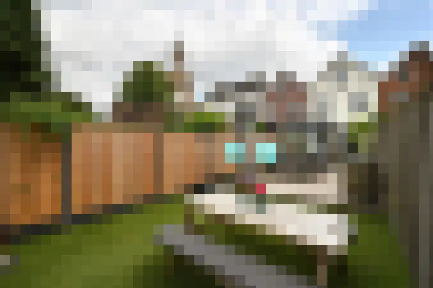 Grote Kerkstraat 37 Steenbergen thumbnail 39
