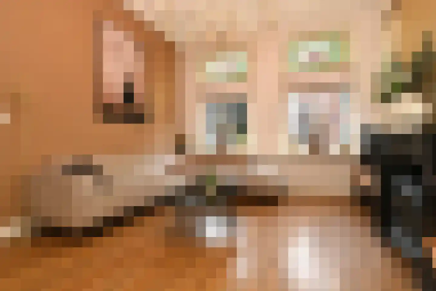 Grote Kerkstraat 37 Steenbergen thumbnail 4