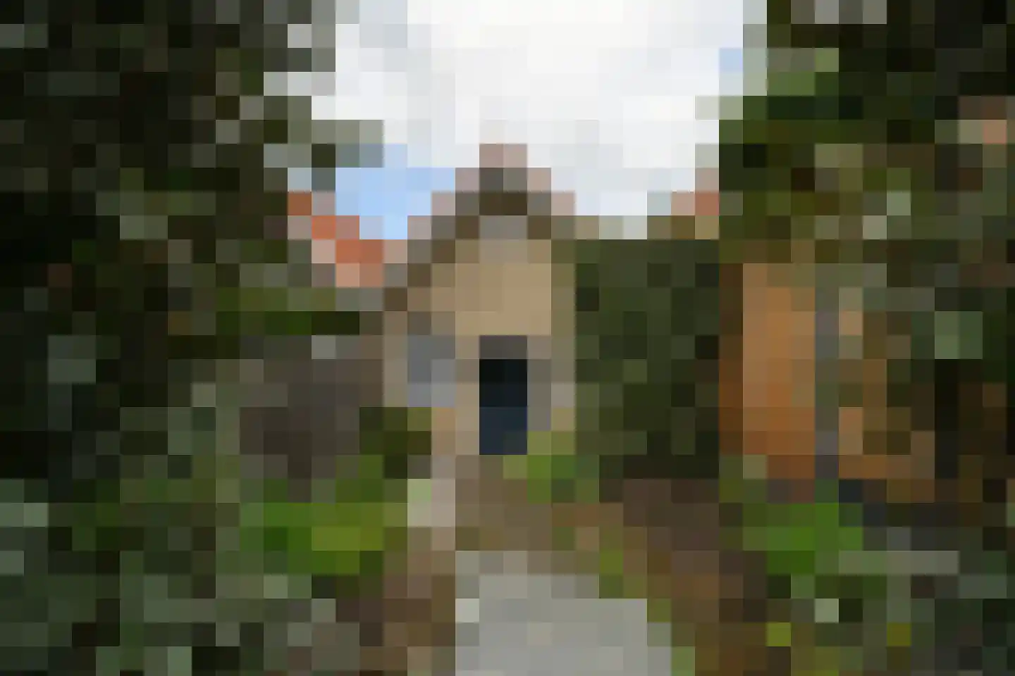 Grote Kerkstraat 37 Steenbergen thumbnail 43