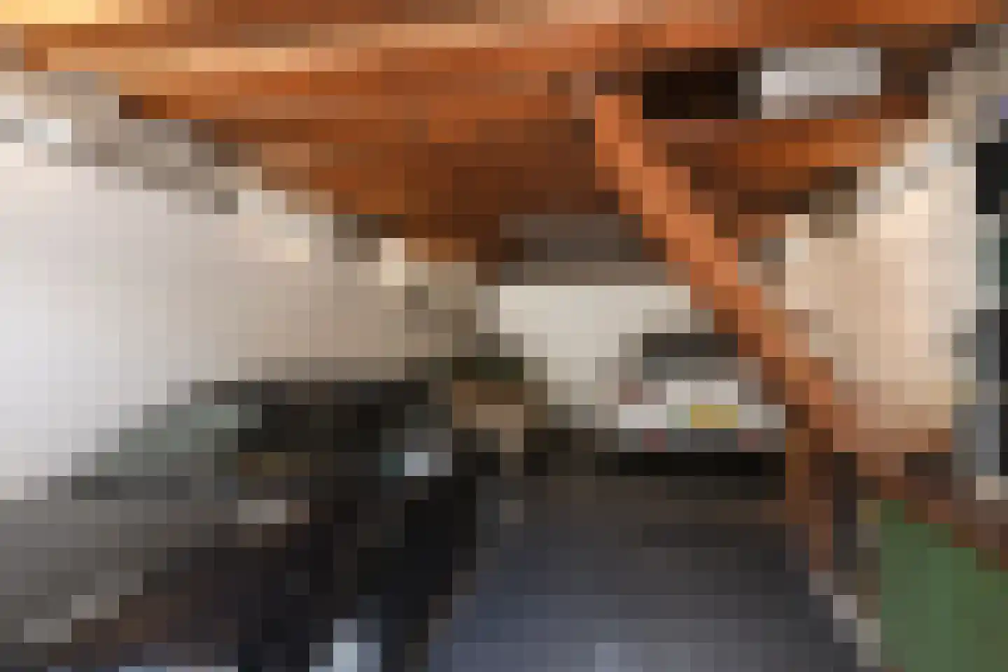 Grote Kerkstraat 37 Steenbergen thumbnail 44