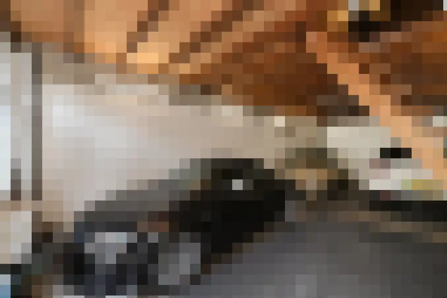 Grote Kerkstraat 37 Steenbergen thumbnail 45
