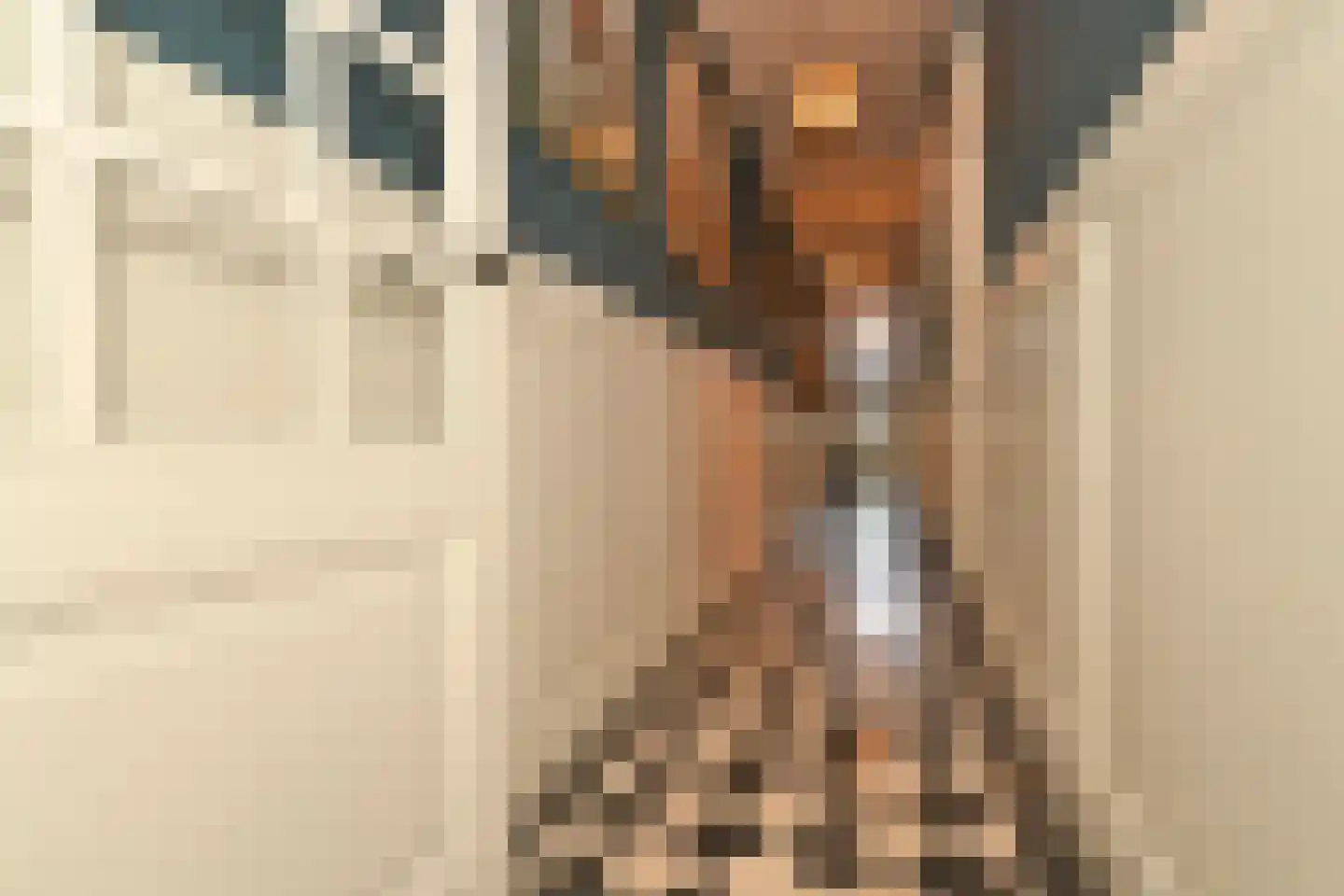 Grote Kerkstraat 37 Steenbergen thumbnail 7
