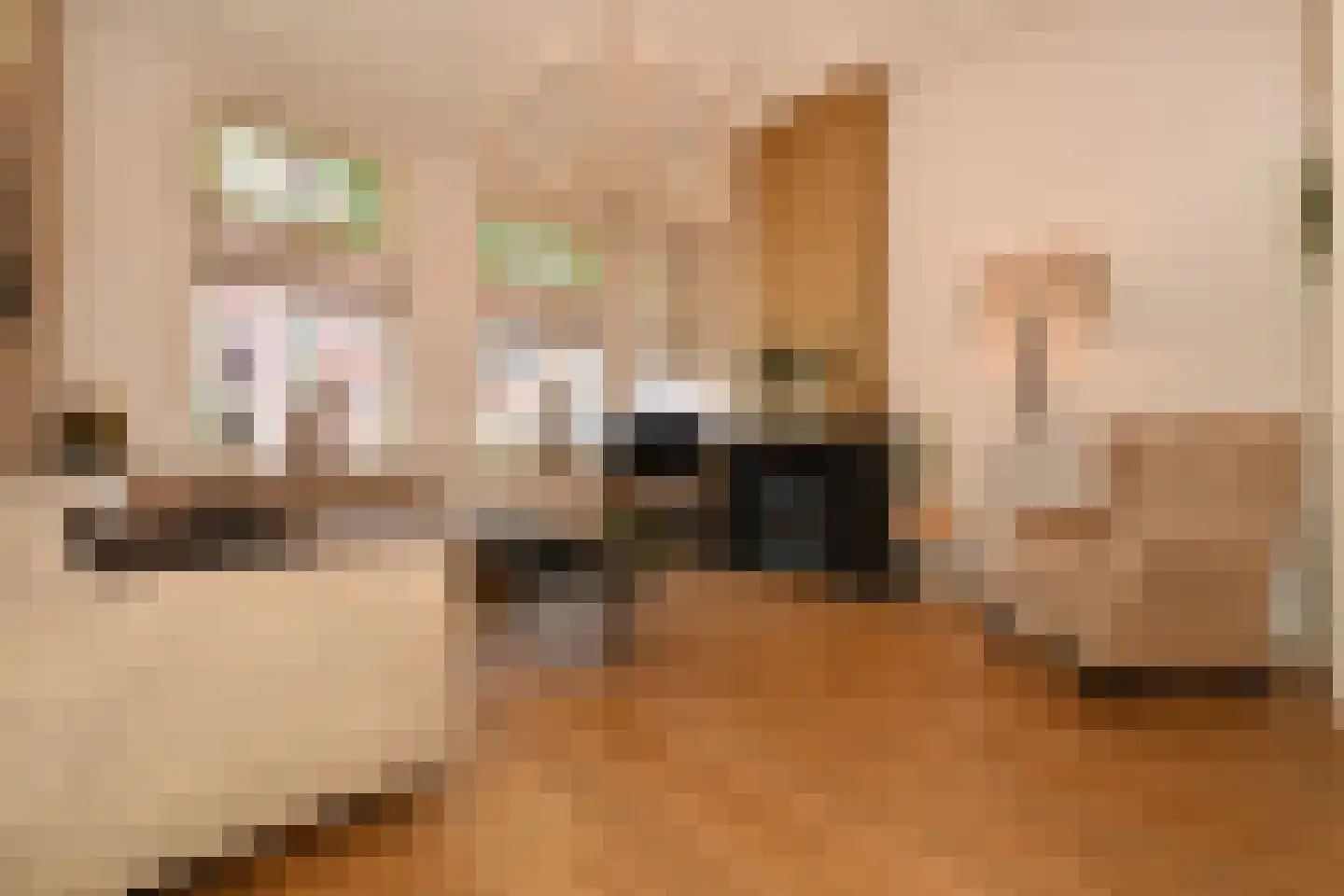 Grote Kerkstraat 37 Steenbergen thumbnail 9