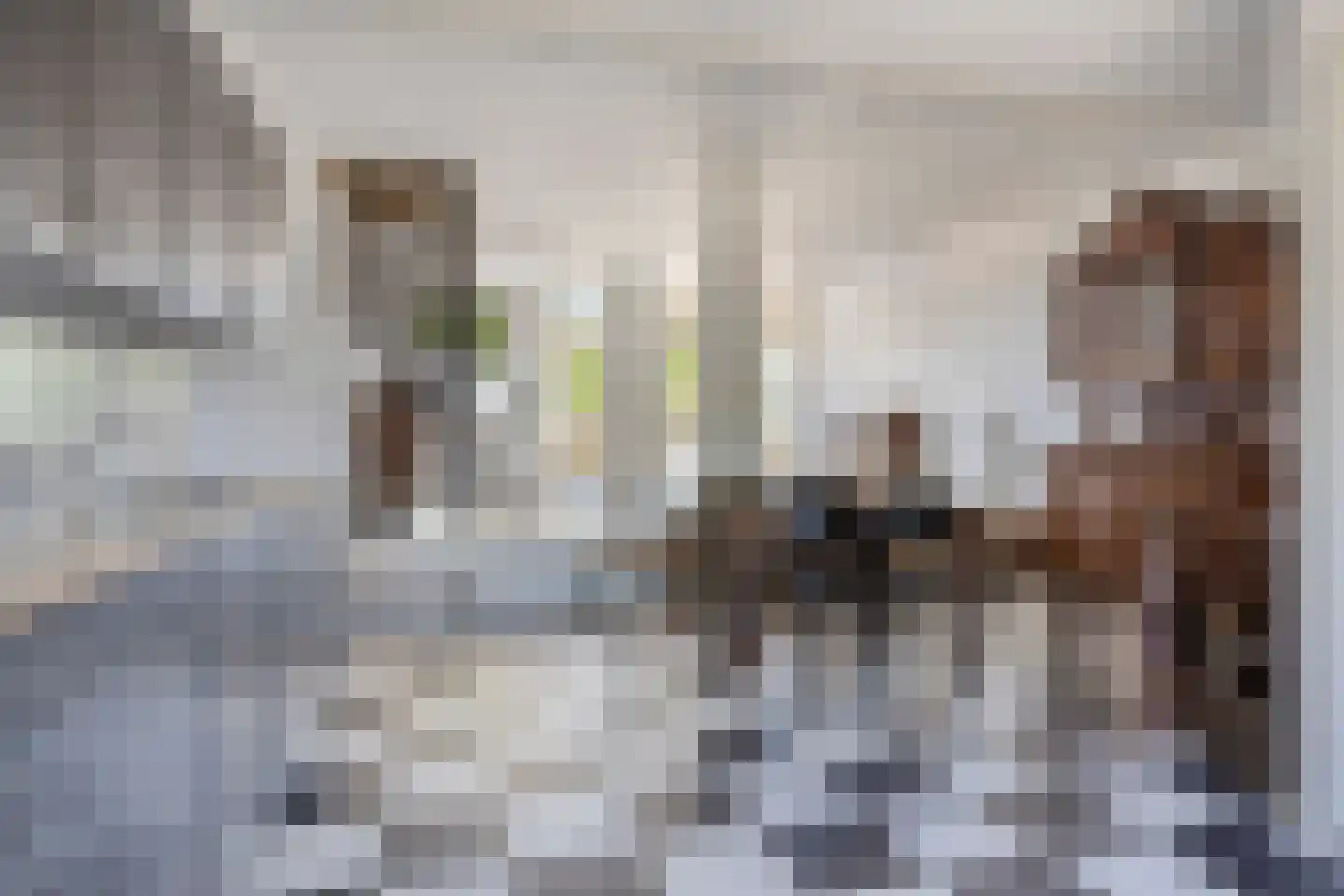 Grote Kerkstraat 50 Raamsdonksveer thumbnail 13
