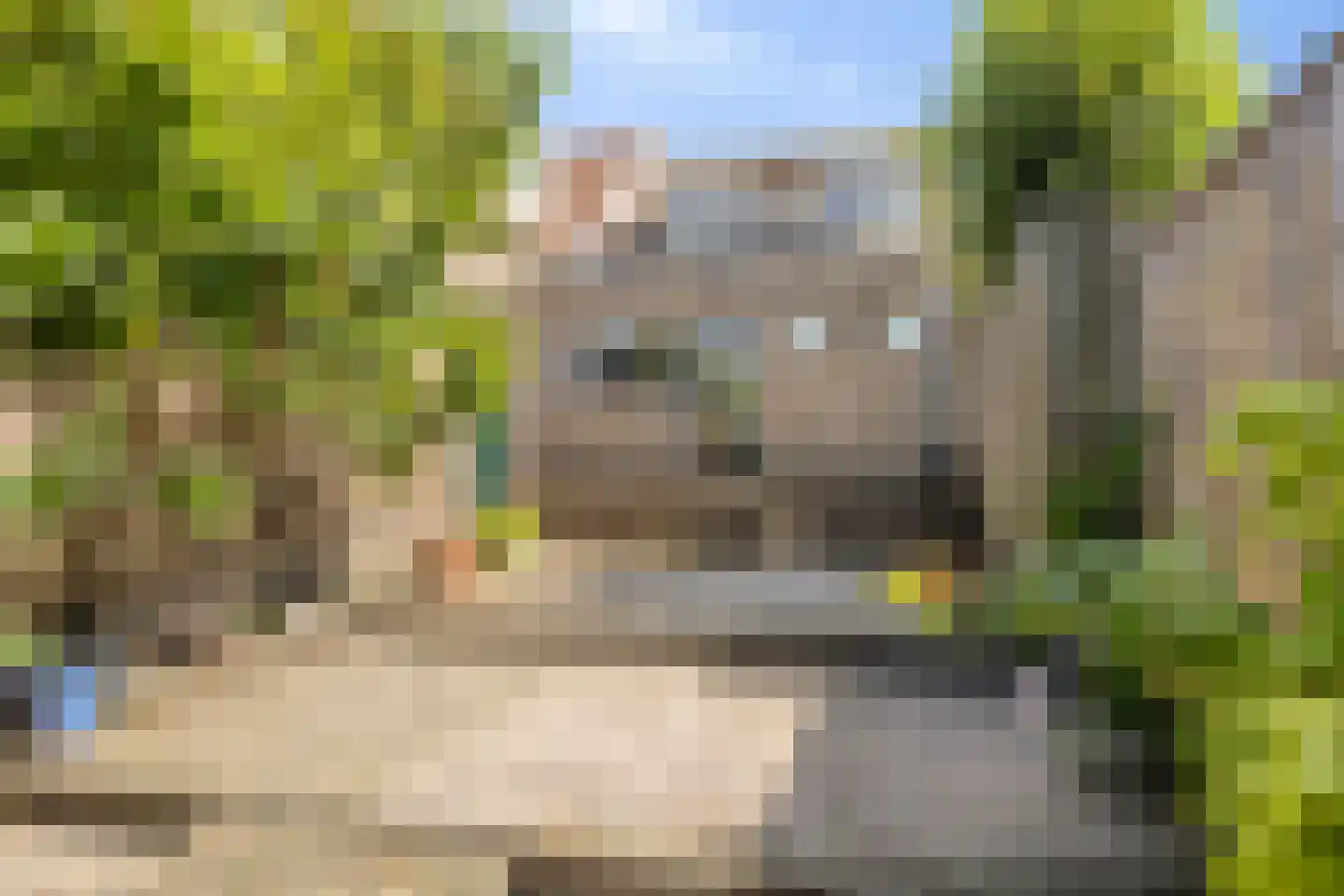 Grote Kerkstraat 50 Raamsdonksveer thumbnail 24