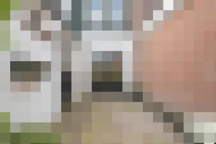 Grote Kerkstraat 55 Hoogeveen thumbnail 27