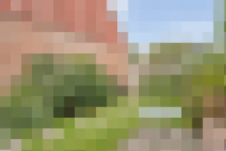 Grote Kerkstraat 55 Hoogeveen thumbnail 29