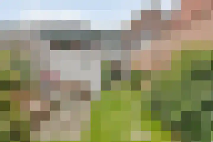 Grote Kerkstraat 55 Hoogeveen thumbnail 30