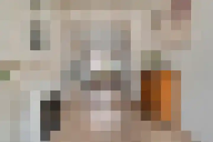 Grote Kerkstraat 55 Hoogeveen thumbnail 9