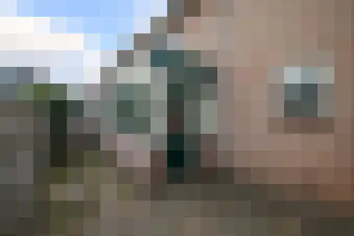 Grote Kerkstraat 7 a Ammerstol thumbnail 22
