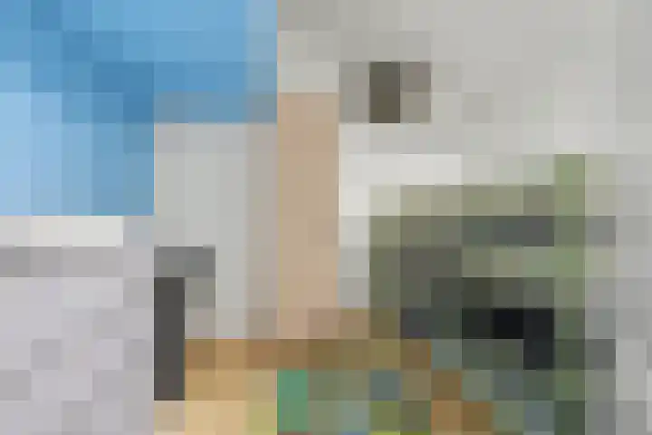 Grote Kerkstraat 70 Raamsdonksveer thumbnail 21