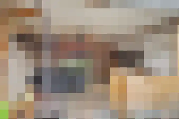 Grote Kerkstraat 70 Raamsdonksveer thumbnail 31