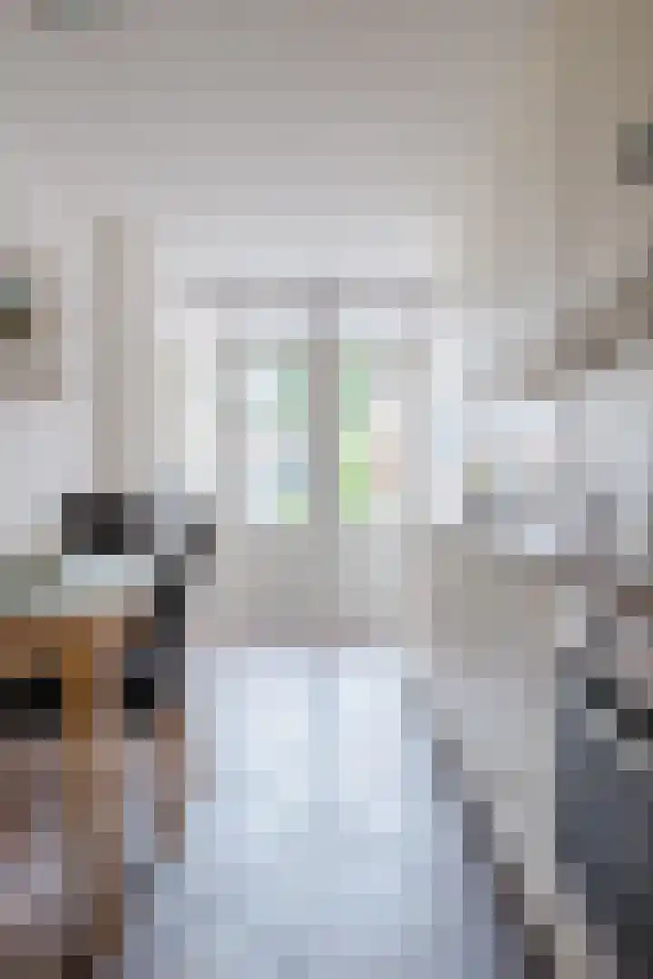 Grote Kerkstraat 74 Hoogeveen thumbnail 6