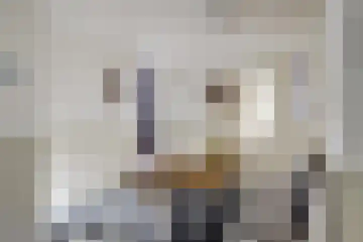 Grote Kerkstraat 77 Raamsdonksveer thumbnail 10