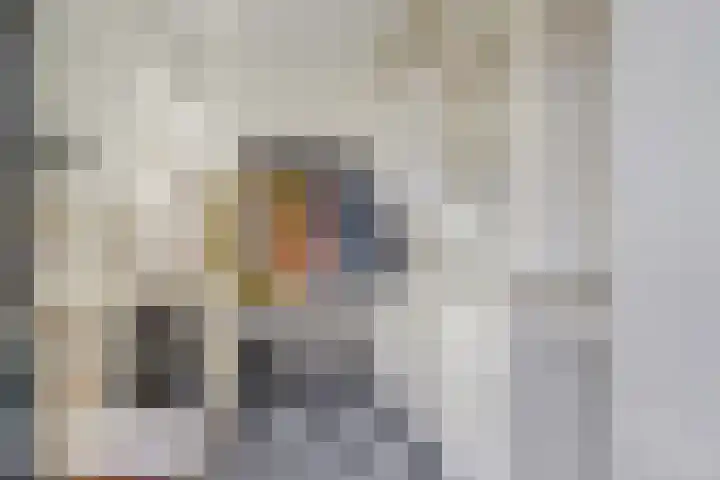 Grote Kerkstraat 77 Raamsdonksveer thumbnail 15