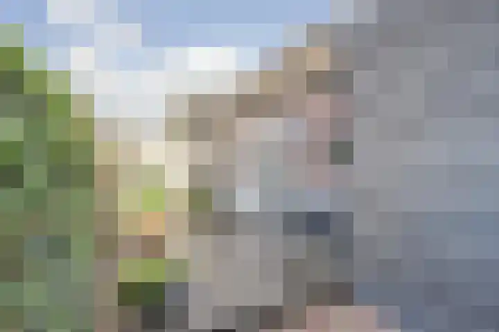 Grote Kerkstraat 77 Raamsdonksveer thumbnail 36