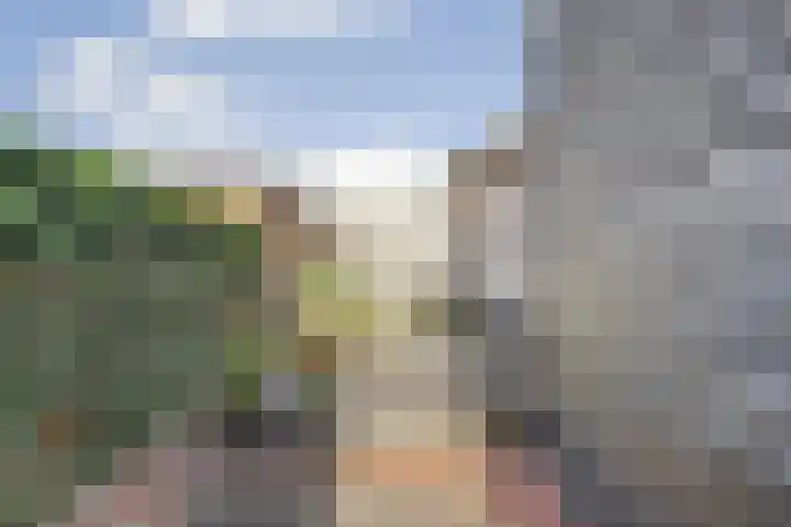 Grote Kerkstraat 77 Raamsdonksveer thumbnail 37