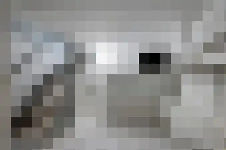 Grote Kerkstraat 78 Hoogeveen thumbnail 22