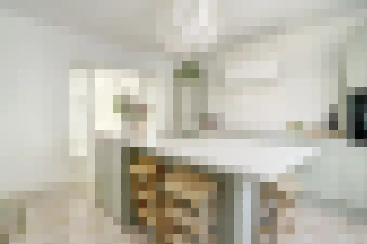 Grote Kerkstraat 85 Raamsdonksveer thumbnail 14
