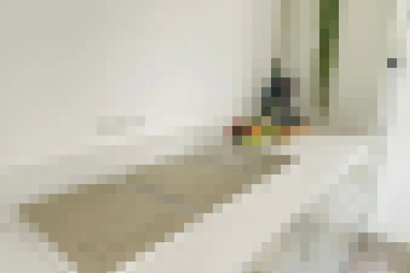 Grote Kerkstraat 85 Raamsdonksveer thumbnail 17