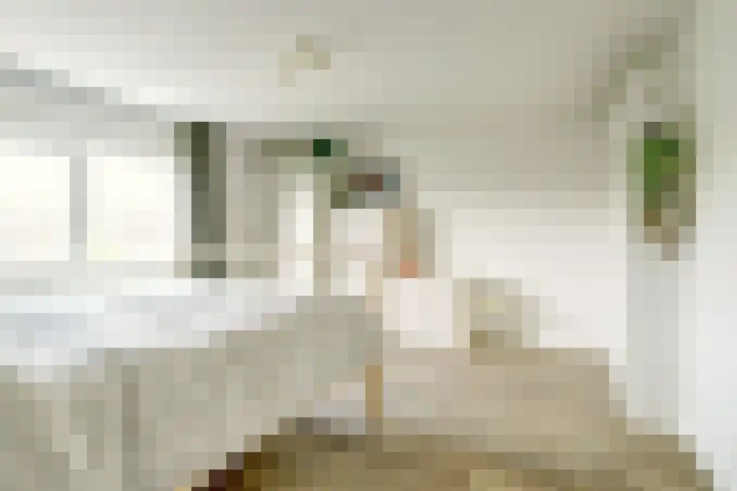 Grote Kerkstraat 85 Raamsdonksveer thumbnail 21