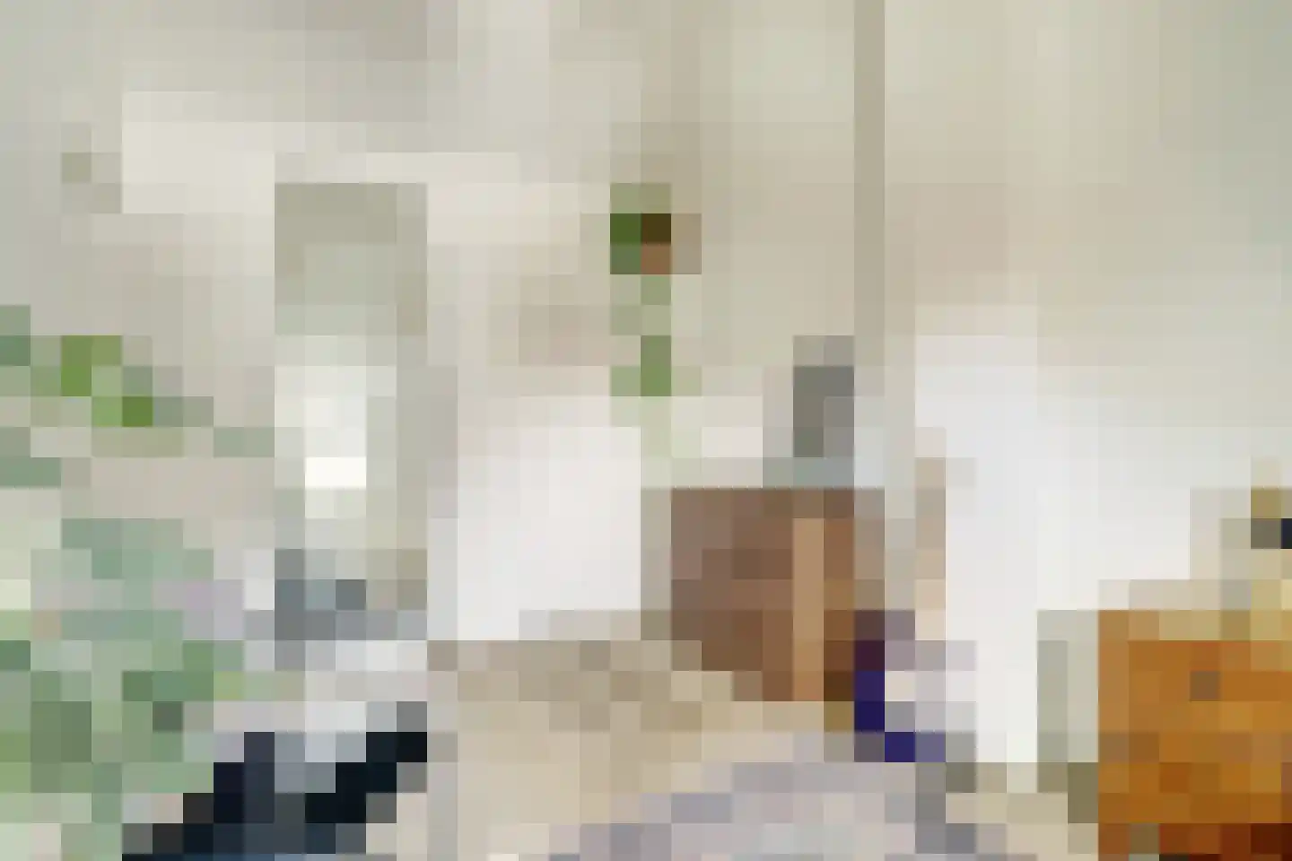 Grote Kerkstraat 85 Raamsdonksveer thumbnail 25