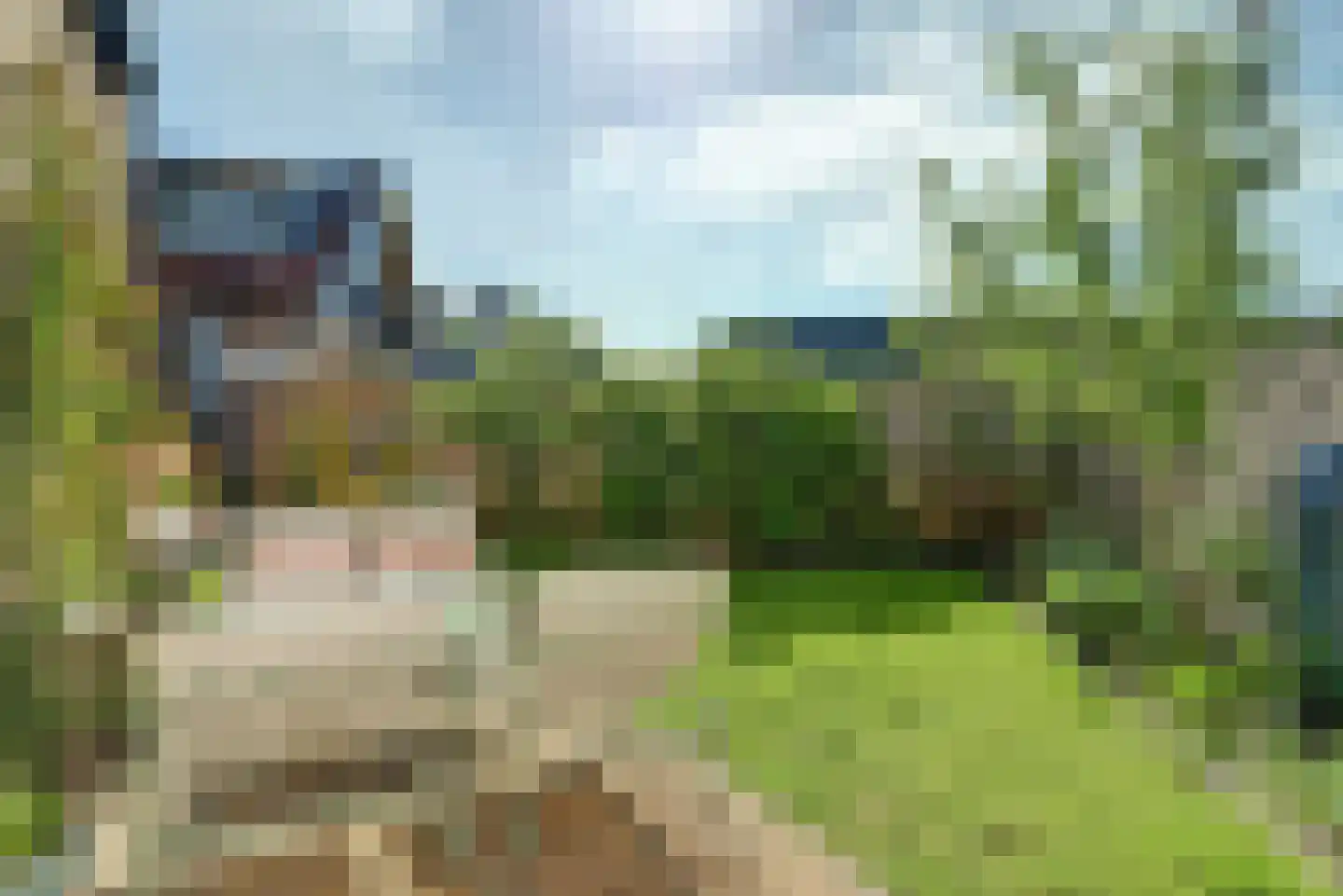 Grote Kerkstraat 85 Raamsdonksveer thumbnail 30