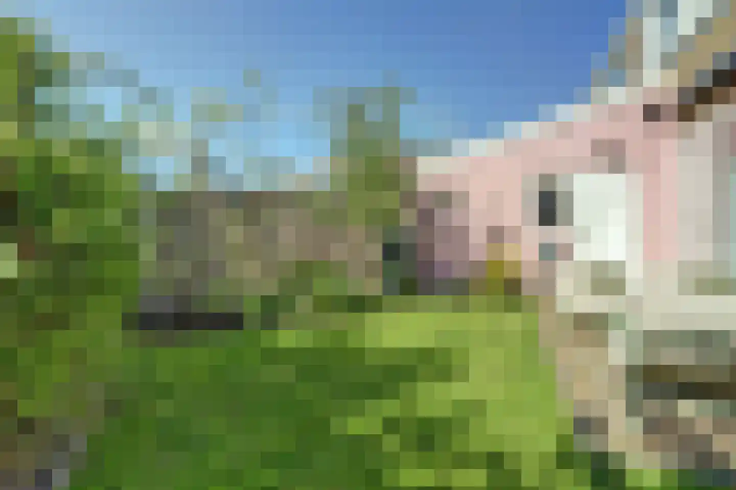 Grote Kerkstraat 85 Raamsdonksveer thumbnail 31