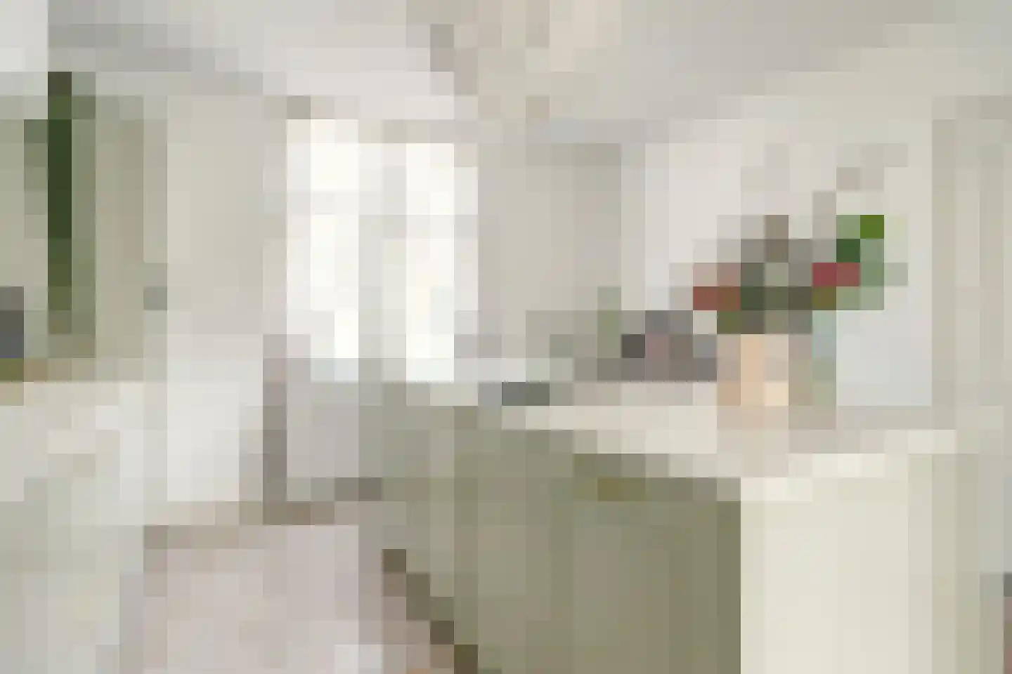 Grote Kerkstraat 85 Raamsdonksveer thumbnail 5