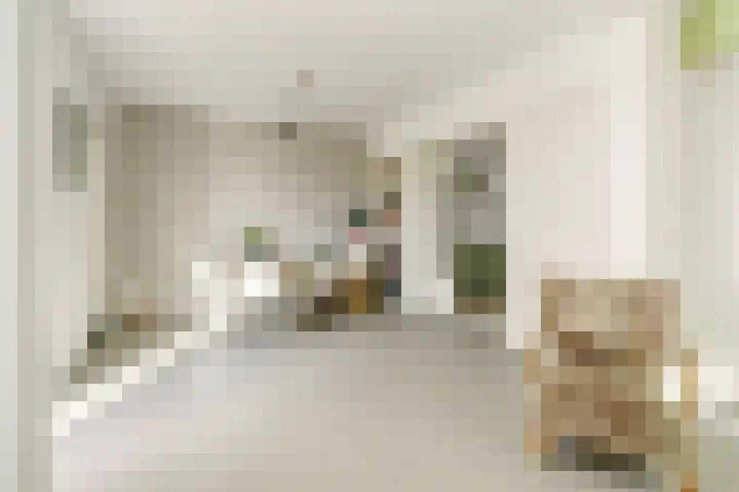 Grote Kerkstraat 85 Raamsdonksveer thumbnail 6