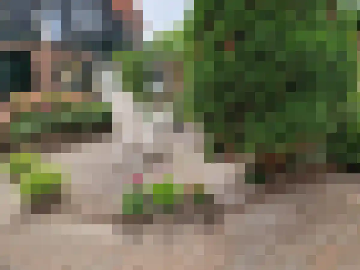 Grote Kerkstraat Hoogeveen thumbnail 4