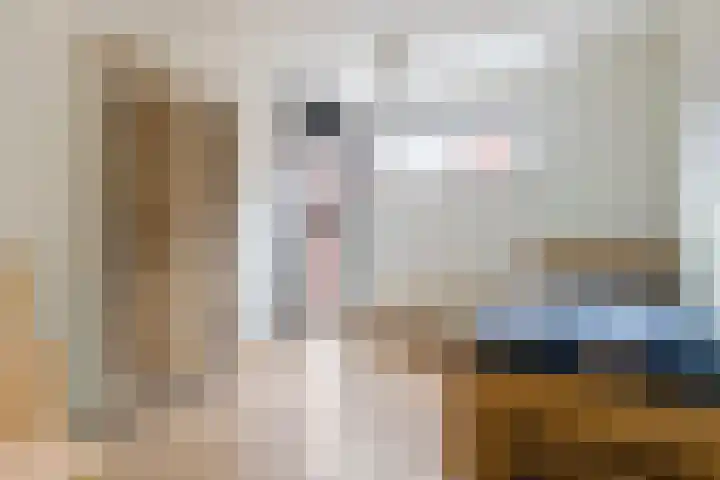 Grote Kruisstraat 14 Groningen thumbnail 19