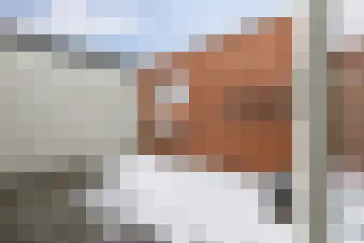 Grote Kruisstraat 14 Groningen thumbnail 28